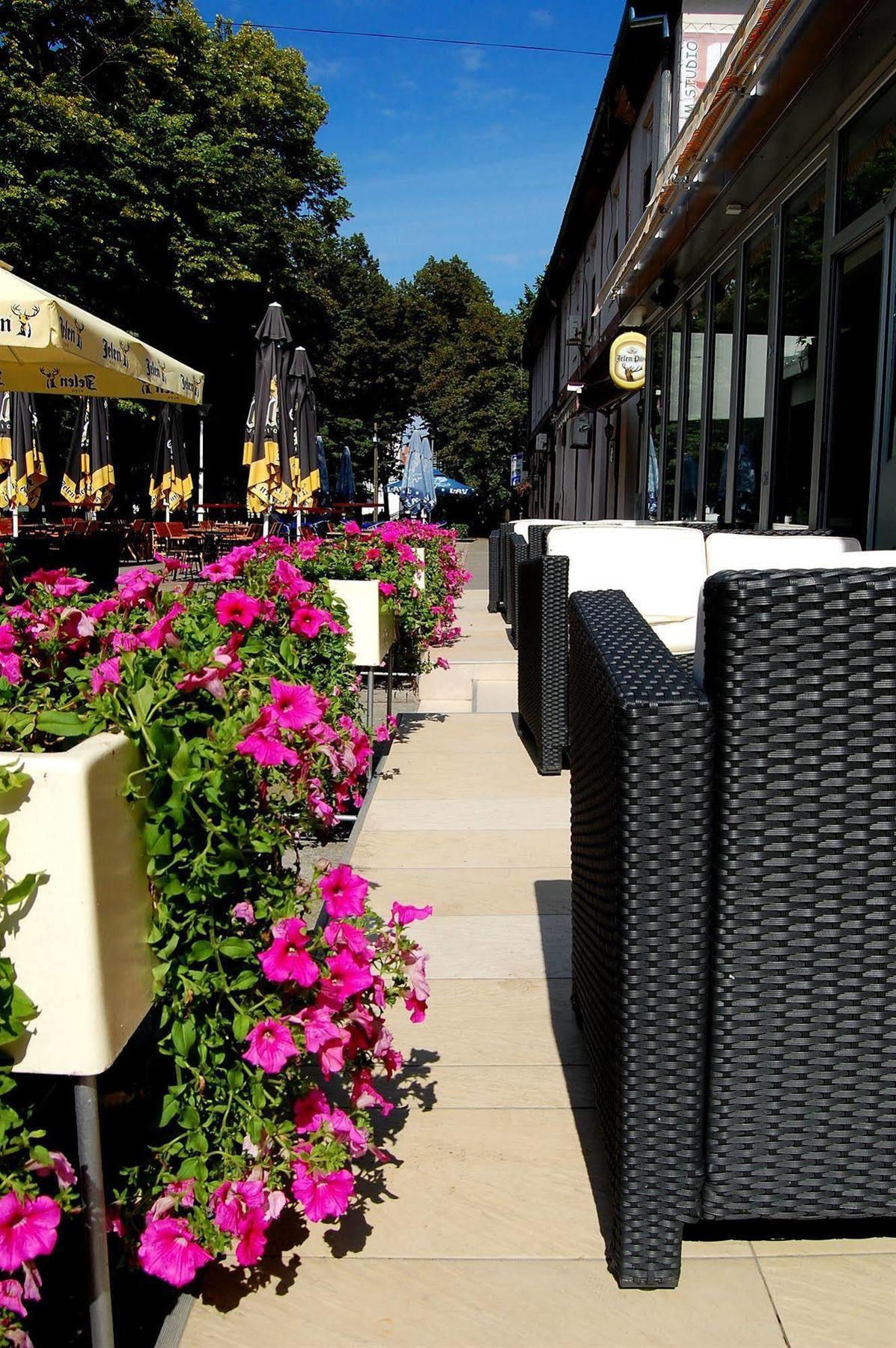 Hotel Tiski Cvet Novi Bečej Esterno foto